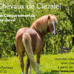 <strong>Les chevaux de Ciezalel</strong>
